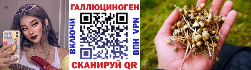 Псилоцибиновые грибы GOLDEN TEACHER  hydra ссылки  Абакан 